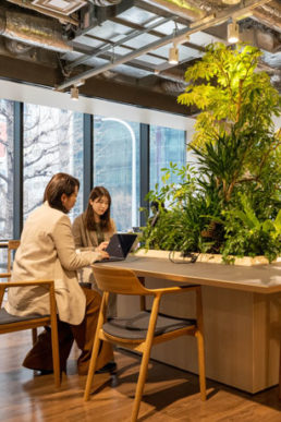 植物を取り入れて快適なオフィスへ！オフィスグリーンの効果や導入事例をご紹介