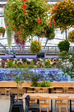 飲食店・イートインスペースに植物を取り入れて居心地の良さを演出。オススメの植物・導入事例をご紹介。