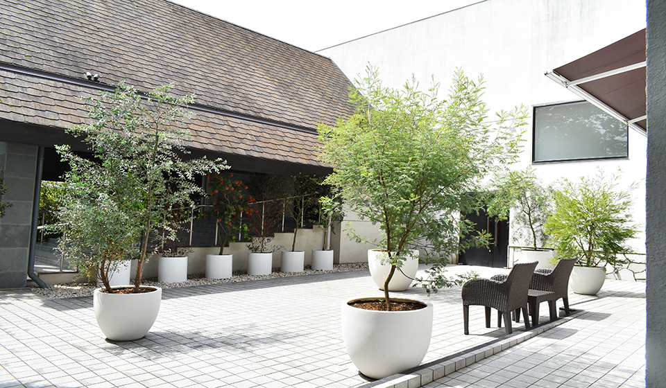 八芳園 オリエンタルチャペル｜WORKS｜株式会社グリーンディスプレイ