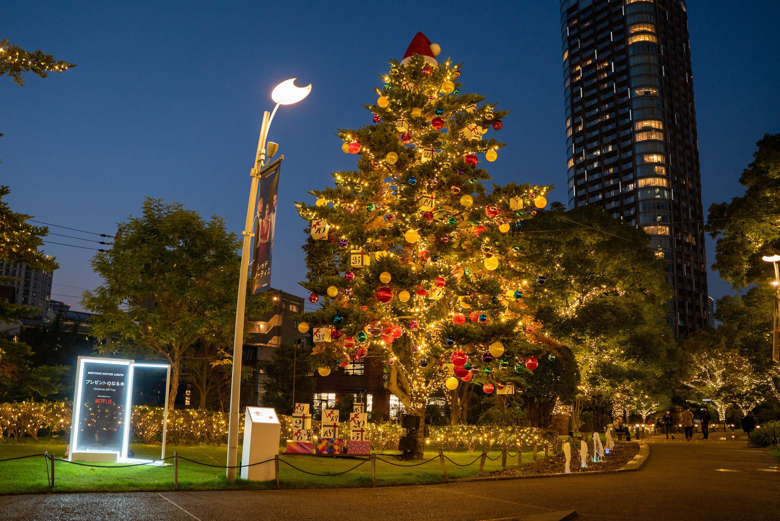 東京ミッドタウン六本木　クリスマスツリー2021