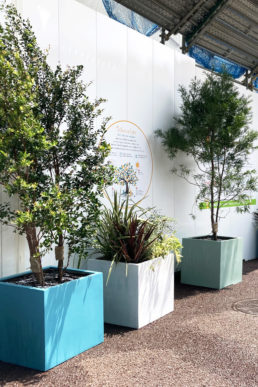 玉川学園にて「植物発電 ボタニカルライト」の講習会を開催！