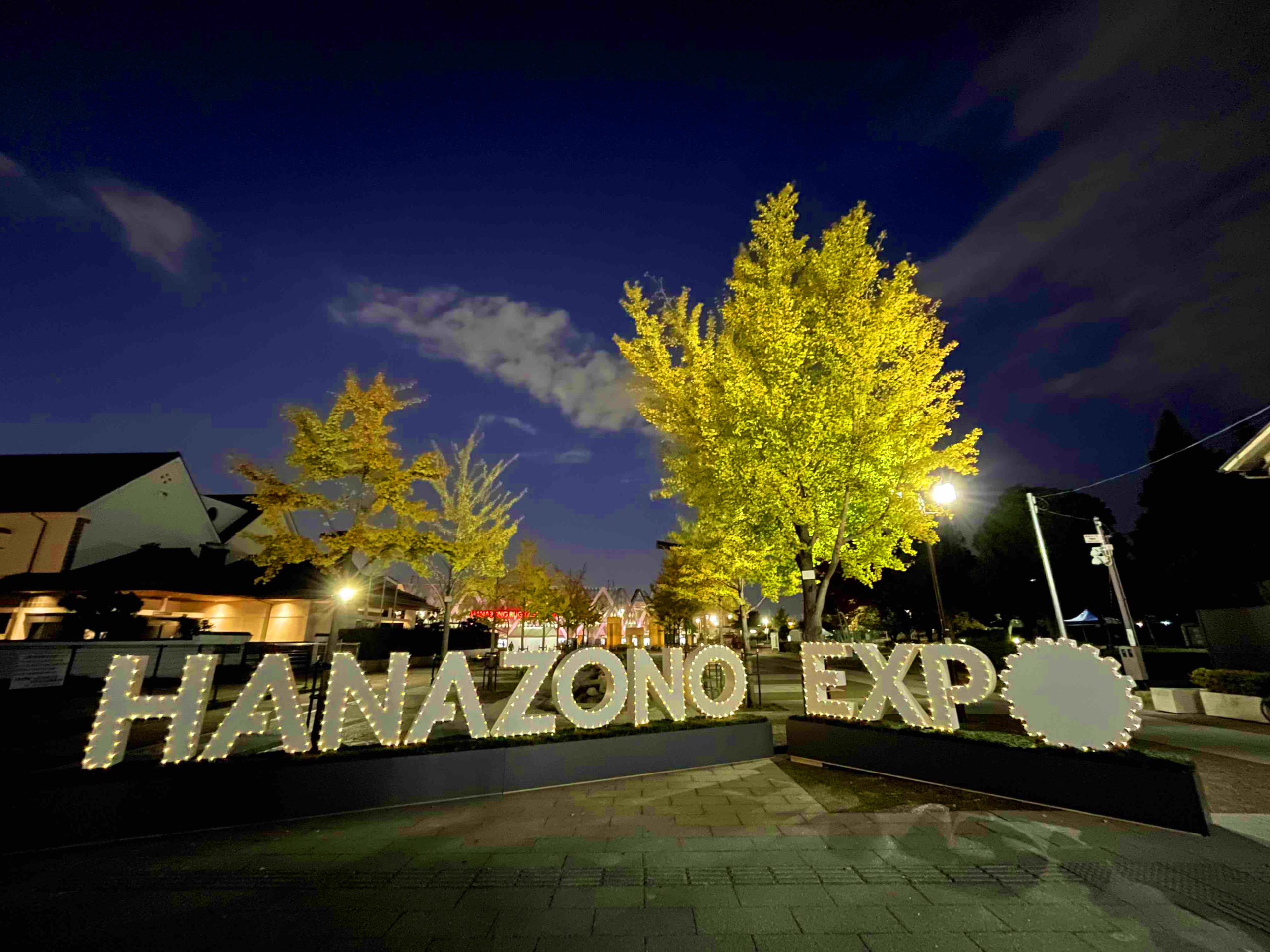 HANAZONO EXPO 2022　botanical light