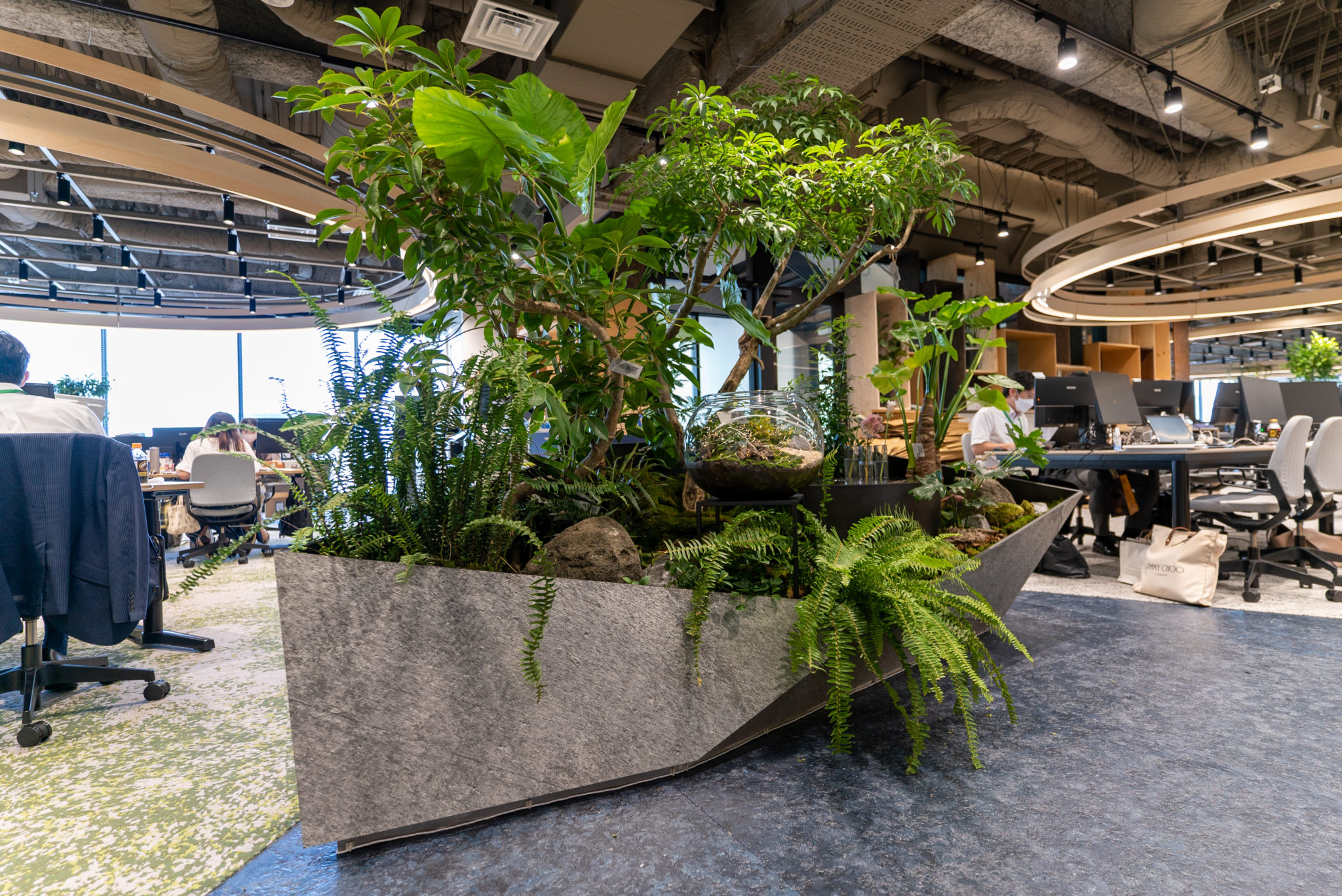 WORKS|株式会社グリーンディスプレイ|植物を用いてオフィスや商空間をグリーン溢れる空間にデザイン