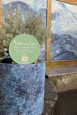 江の島公衆トイレ美化緑化を実施いたしました！