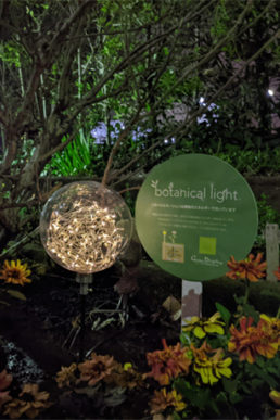 世田谷区烏山川緑道に植物発電botanical light(ボタニカルライト )を設置いたしました