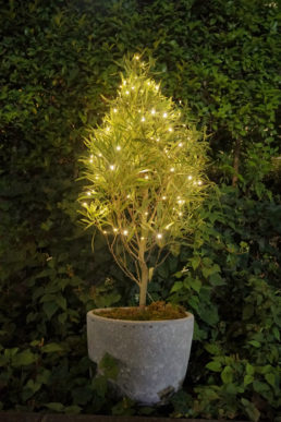 グリーンインフラ産業展2023にbotanical light（ボタニカルライト）が展示されます！