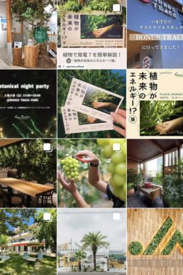 グリーンディスプレイのSNS情報まとめ