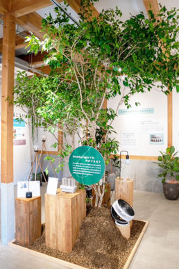 訴求力のあるご提案へ　「老若男女問わず注目度の高い!! 植物発電 ボタニカルライト」note公開のお知らせ