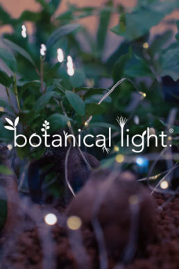 2023年 12月 12日〜13 日　第７回 震災時の連携を考える全国フォーラム　植物発電botanical light(ボタニカルライト)展示のお知らせ
