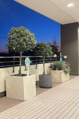 【note更新】植物発電botanical lightを商業施設と地域をつなぐ ”光” へ！！　分倍河原MINANOインタビュー