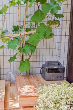 【note更新】植物発電botanical light 蓄電奮闘記