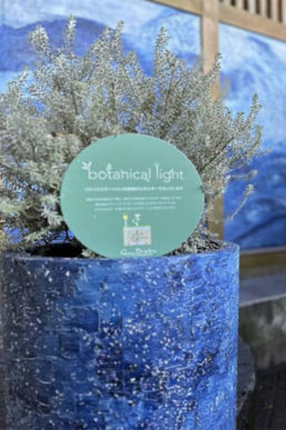 植物発電botanical light(ボタニカルライト)を用いた藤沢市プラスチック資源循環及び環境美化の実現に向けた取組のご紹介