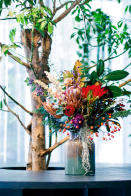 胡蝶蘭だけじゃないお祝い花・お祝い鉢レンタルとりまとめサービス「OIWAI PLANTS」