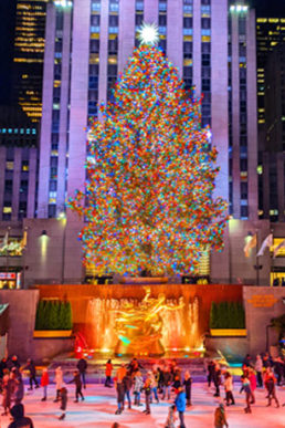 2023年ニューヨーク・ロンドン・パリ　クリスマスディスプレイのトレンドをお届け！