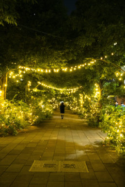 光の演出で集客力をUP！差別化を図るための4つのキーワードをご紹介！