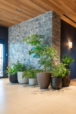 【グリーン導入やお祝い花・お祝い鉢をご検討の方へ】春に向けたオフィスや店舗の移転・新規開設…そのお悩みを解決します!!