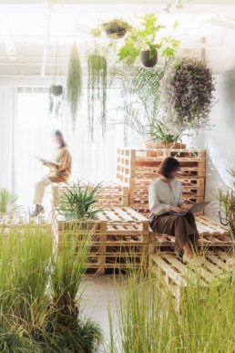 自然の心地よさを体感する『Wellness』空間　ショールームリニューアルのお知らせ