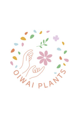 贈る人も贈られる人も嬉しい！法人向けお祝い花・お祝い鉢とりまとめサービス「OIWAI PLANTS」
