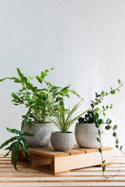 【4月20日・21日】麻布台ヒルズ Azabudai Hills Spring  出展のお知らせ