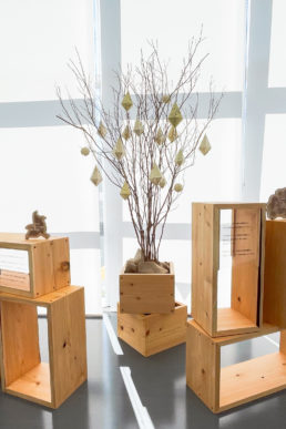 note更新！　オチャノキの新たな使い方を探すため、学生の力を借りてみた！〜玉川大学 × オチャノキプロジェクト〜