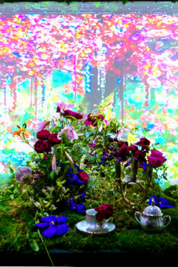 没入体験型ディスプレイで話題性のある空間演出を！