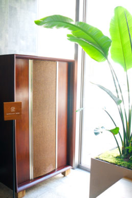 ブランディングの段階から、植物を軸にした空間づくり──Café PA•TRI•CIANインタビュー