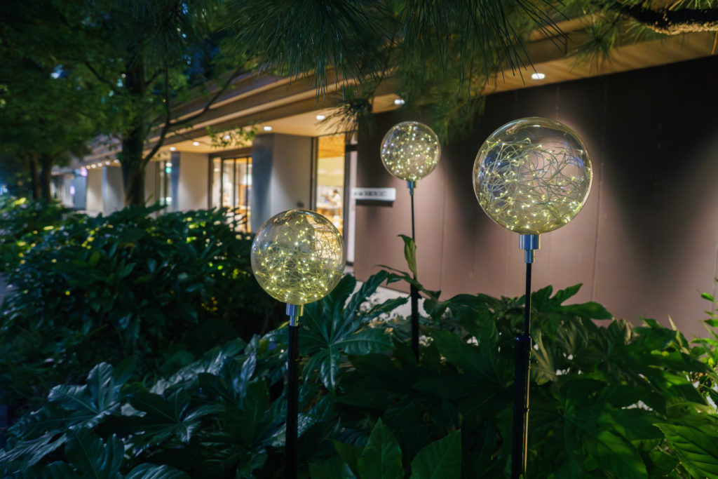 【クーポン使用可】旅人の木　13節　 超綺麗　ライト付属品有り 植物発電ボタニカルライトの実施事例をご紹介!!｜COLUMN（コラム