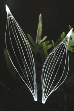 乃村工藝社「未来創造研究所」と植物発電「botanical light」がコラボレーション。代官山 爽涼祭にて実証実験を実施