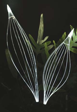 乃村工藝社「未来創造研究所」と植物発電「botanical light」が