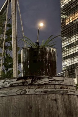 ENEOSホールディングス(株)が推進する「みどりうむアクション」にて植物発電ボタニカルライトをご紹介しました